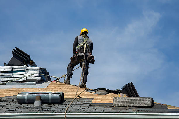Professional Gutter Installation technician working in Holly Hill, FL